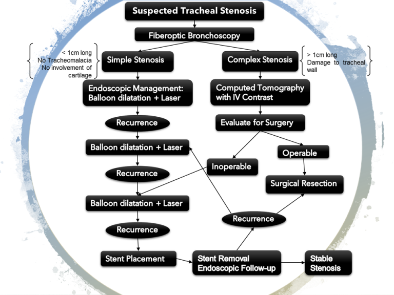 Traqcheal Stenosis Management
